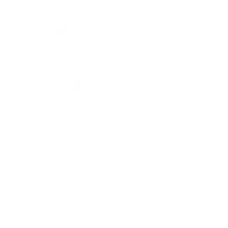 icône pizza